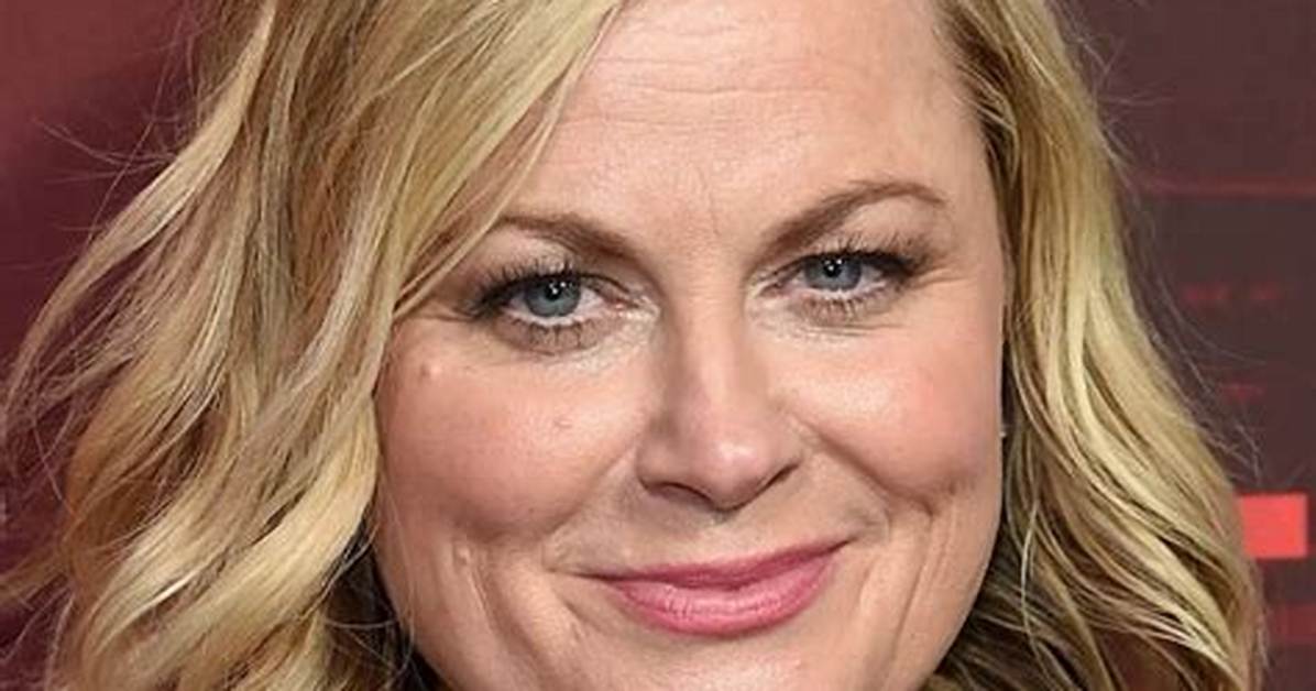 Amy Poehler Net Worth, Age, Height, Bio, Birthday, Wiki!