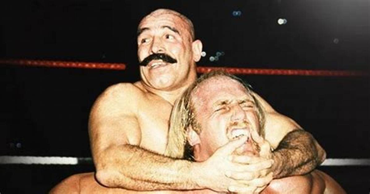 Are Iron Sheik and Hulk Hogan Friends?