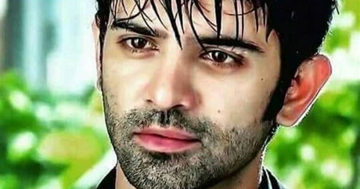 Arnav Singh Raizada Real Name, Biography, Age, Wife, & More