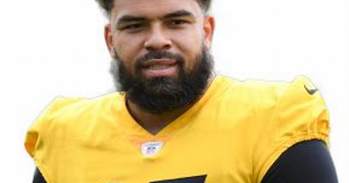 Cameron Heyward Net Worth, Age, Height, Bio, Birthday, Wiki!
