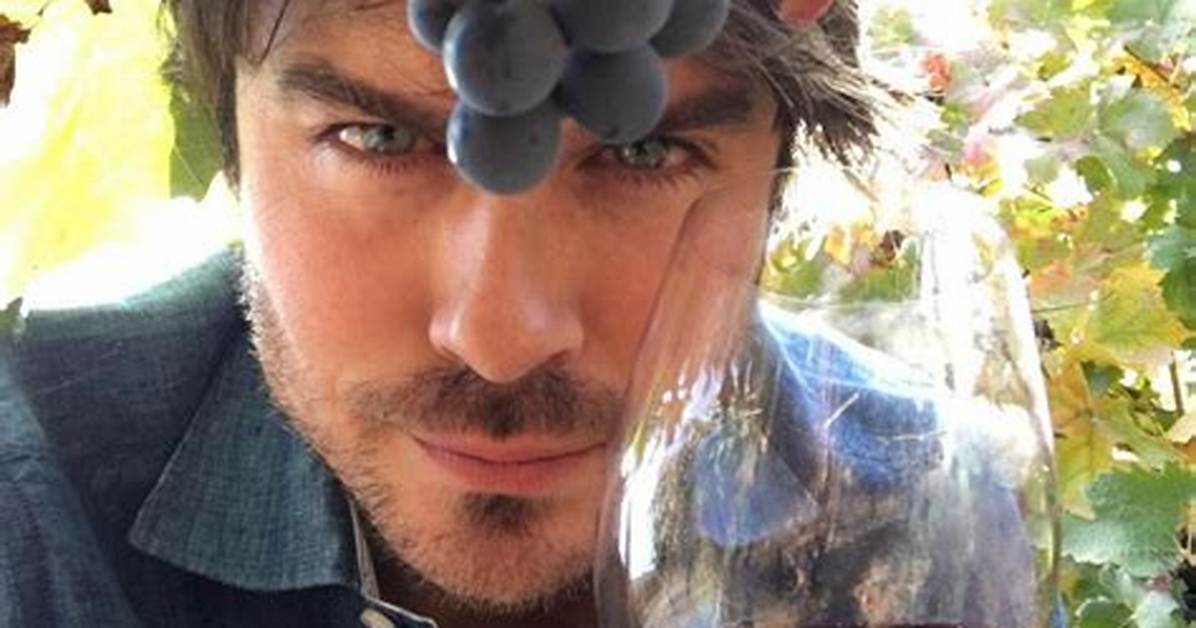 Celebrities Who Love Drinking Wine as Much as You Do