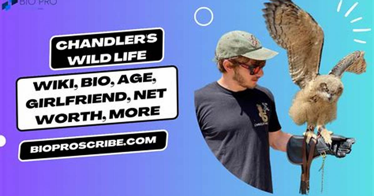 Chandler's Wild Life Net Worth, Age, Height, Bio, Birthday, Wiki!