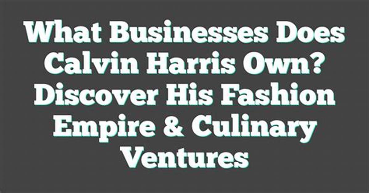 Discover Calvin Harris Other Business Ventures Aside from His Music Career