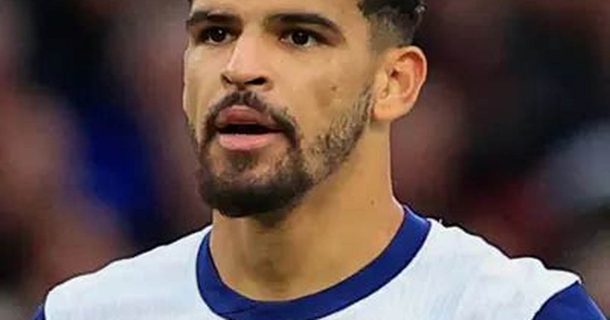 Dominic Solanke Biography: Parents, Net Worth, Stats, Age, Siblings, Salary, Wife, Goals, Nationality