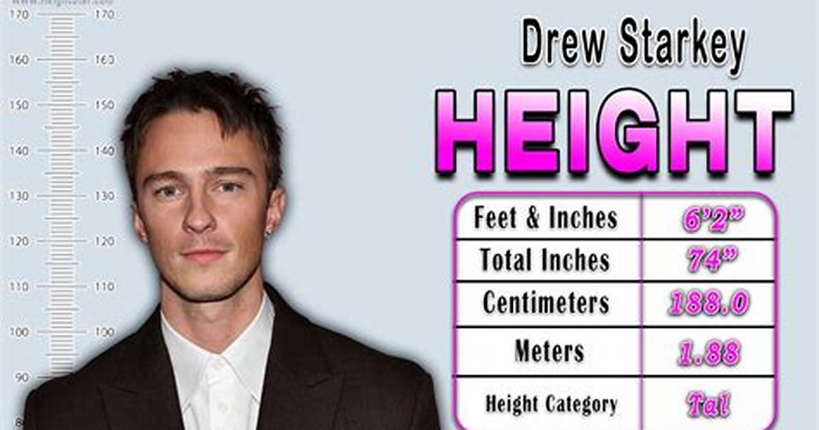 Drew Maggi Height: How Tall Is Drew Maggi?