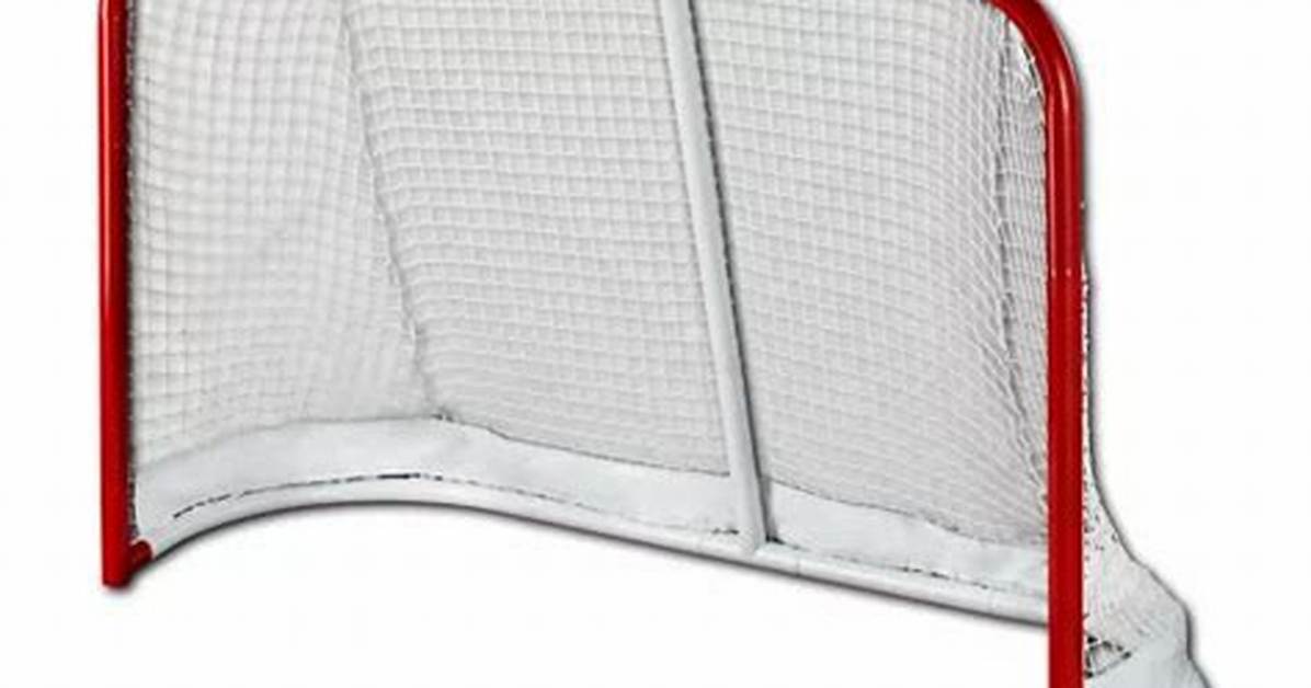 Fame | Bauer Hockey Net Worth and Salary Income Estimation Jan, 2024