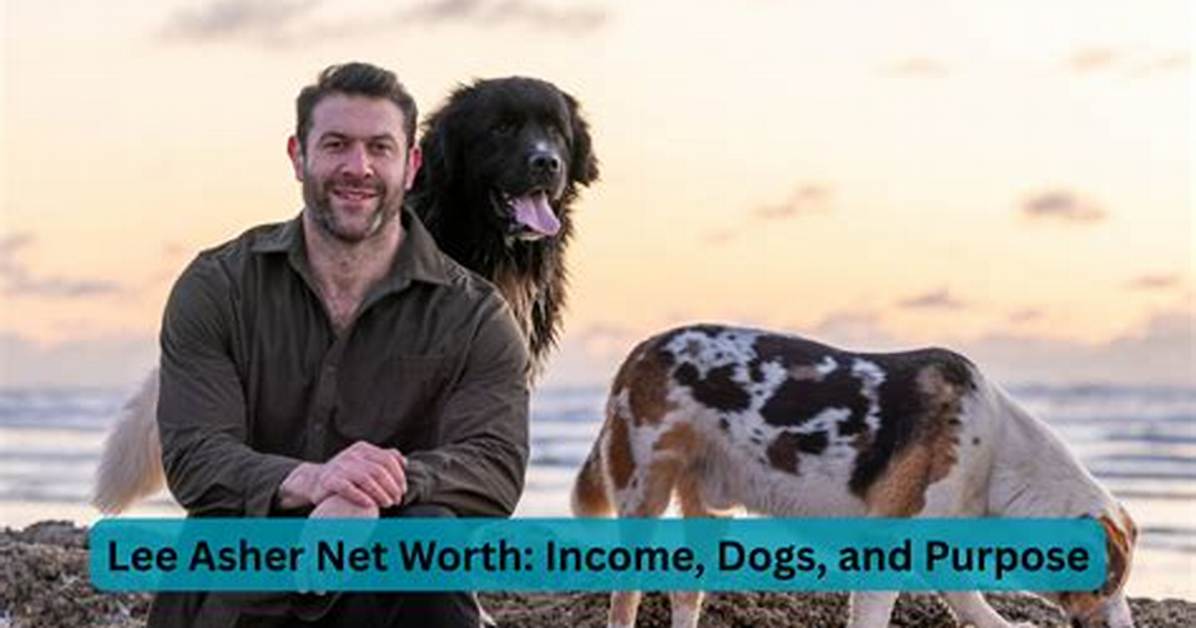 Fame | Lee Asher Net Worth and Salary Income Estimation Jan, 2024