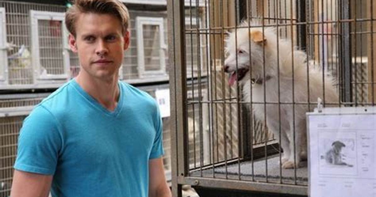 Glee Live Recap: Season 5 Episode 19 “Old Dog New Tricks”