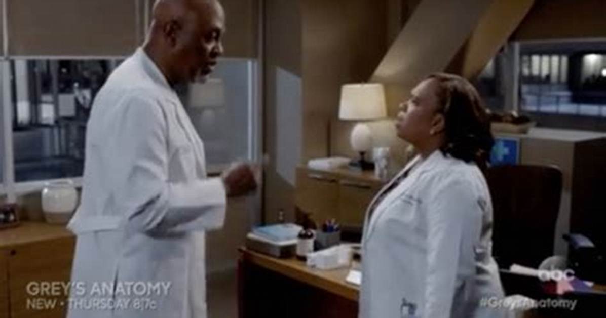 Grey’s Anatomy Recap – Dr. Minnick Makes Enemies: Season 13 Episode 7 “Why Try to Change Me Now”
