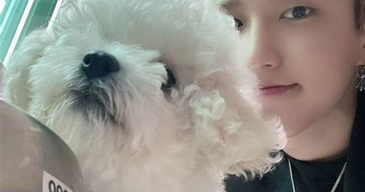 Han Jisung Children: Does Han Jisung Have Any Children?