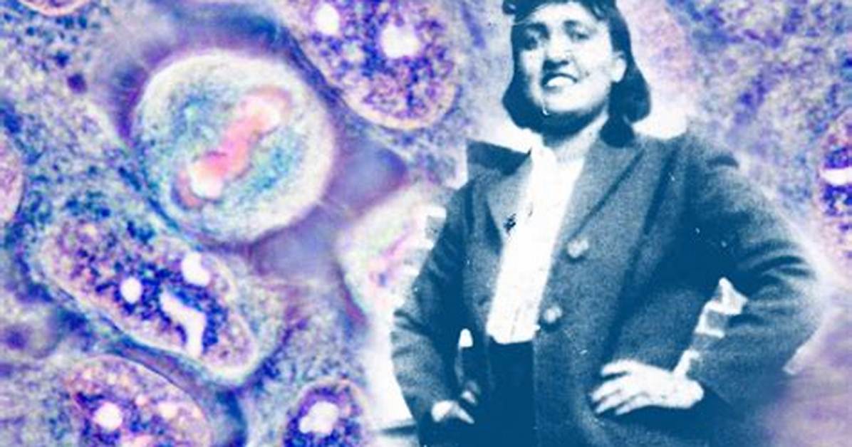 Henrietta Lacks Bio, Age, Life, Net Worth, Family & More