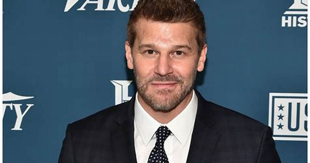 How Rich Is David Boreanaz: What Is His Net Worth