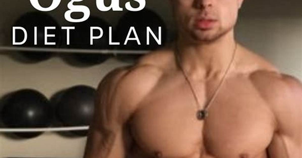 Inside the Life of Matt Ogus: Biography Net Worth & More