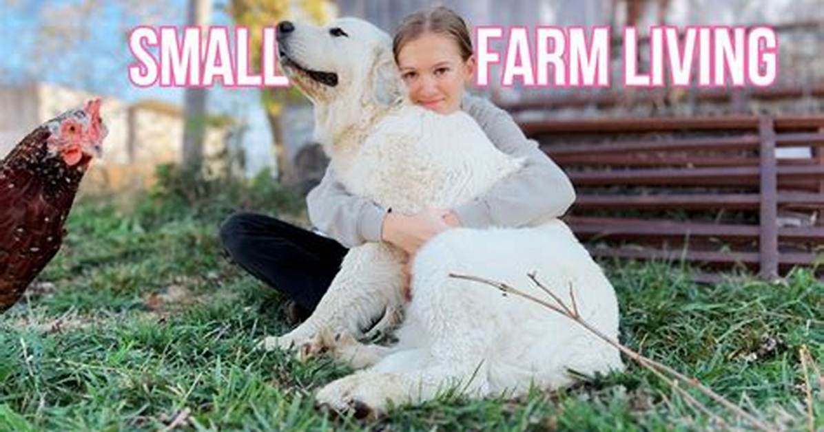 Inside the Life of Youtube Personality Farm Girl Jen