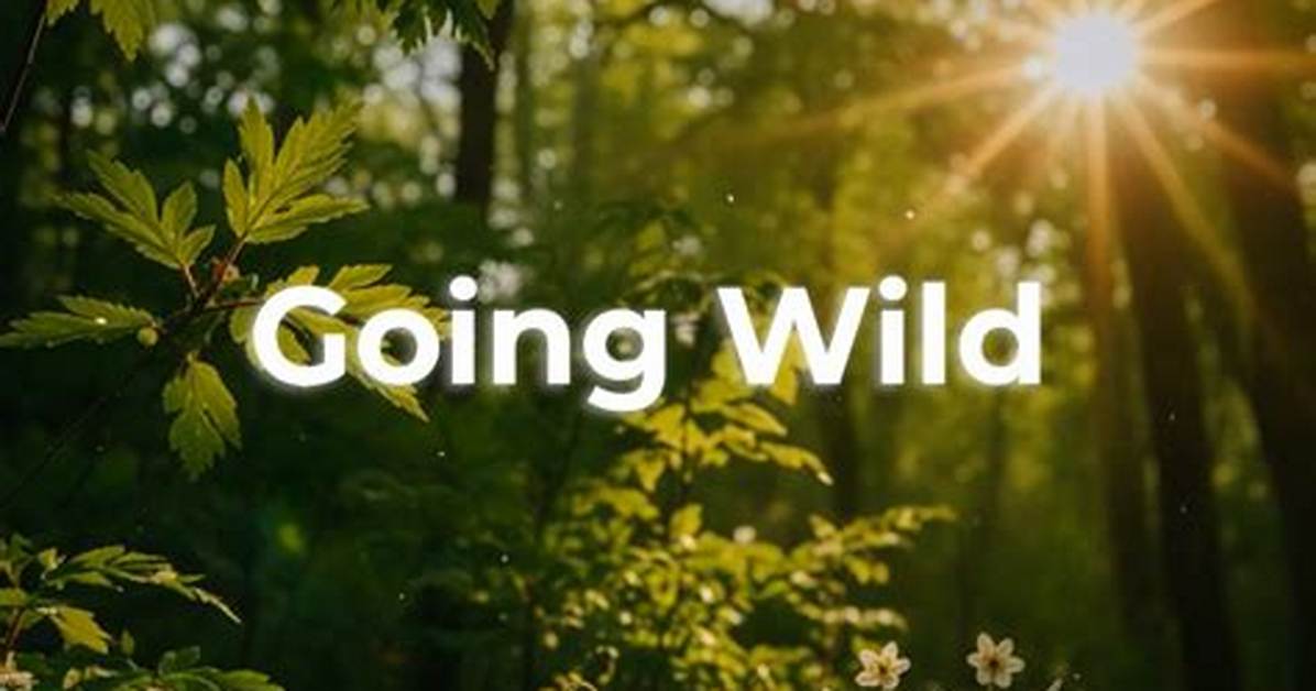 Is It Worth Going Wild for Wild?