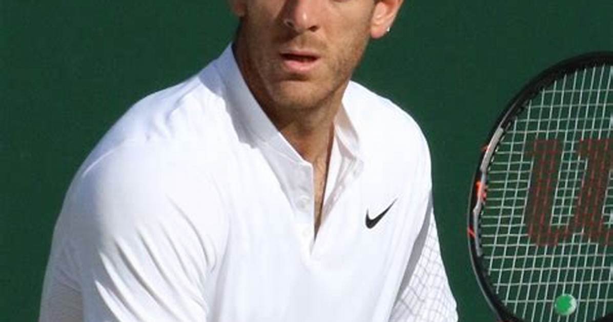 Juan Mart%C3%Adn Del Potro Net Worth Age 1200. Jpg