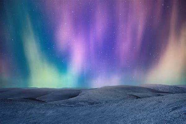 Lapland – Pamela to Open Strip Clubs in Finland – How Appopriate!