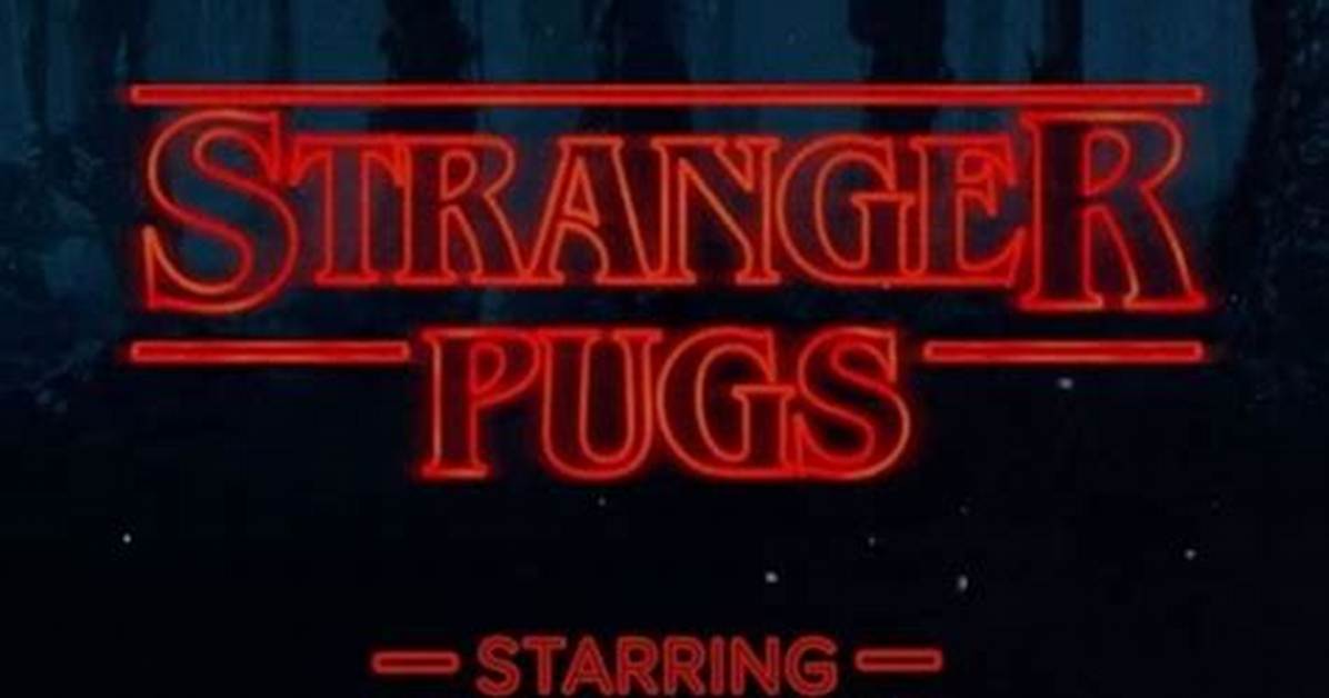 Loved Stranger Things? Stranger Pugs Is the Next Best Thing