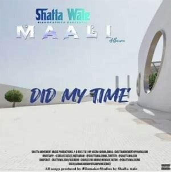 Lyrics: Shatta Wale – Did My Time