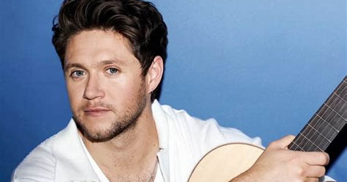 Niall Horan Drops Brand New Single & Music Video for 'Nice to Meet Ya'