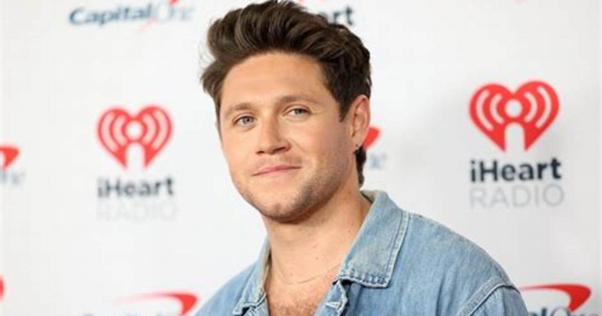 Niall Horan Gives Fans Preview of New Song 'Finally Free'