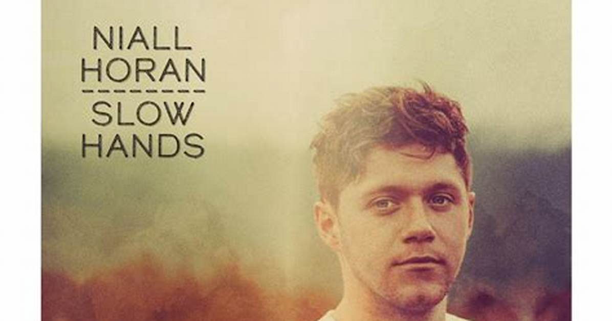 Niall Horan's "Slow Hands" Officially Confirmed His Highest Charting Single