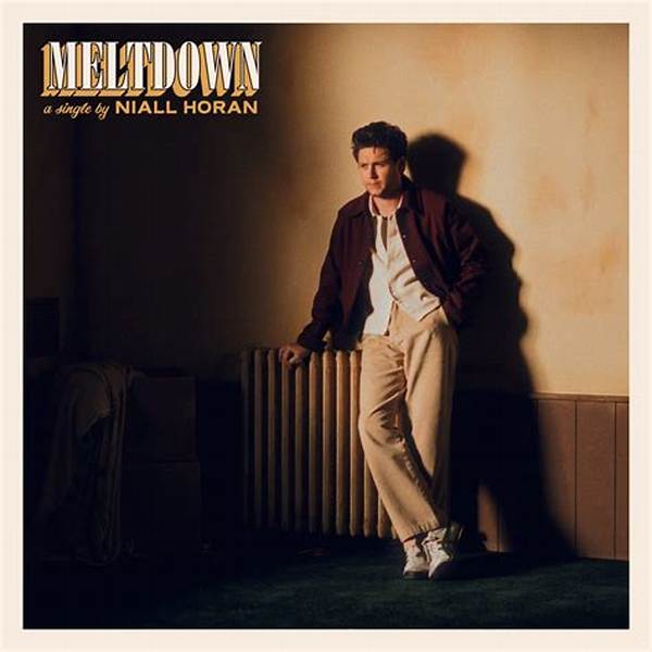 Niall Horan Unveils His Second Single 'Meltdown' from 'The Show'