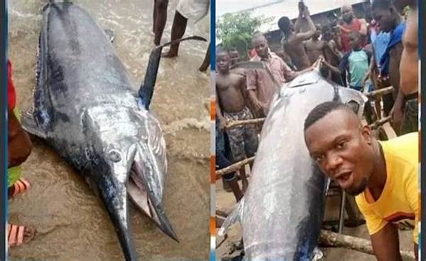 Nigerian Man Reportedly Catches a Blue Marlin Fish Which Is Worth $2.6 Million and Ate It with His Village People