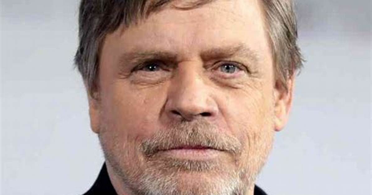 Pat Hamill Net Worth, Age, Height, Bio, Birthday, Wiki!