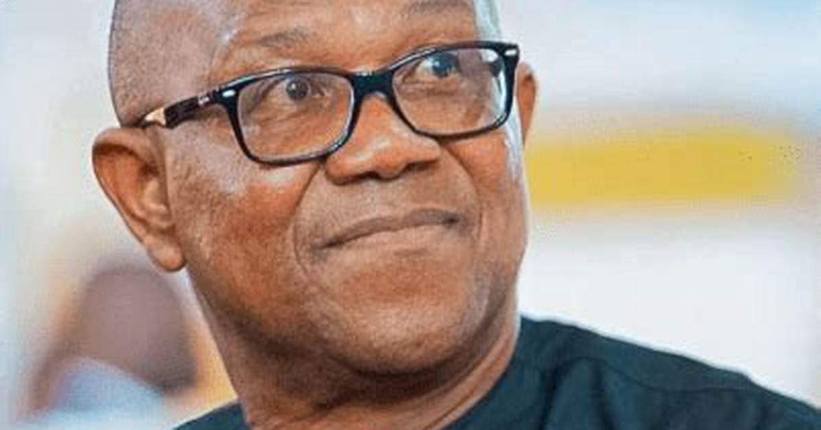 Peter Obi Companies: How Many Companies Does Peter Obi Have?