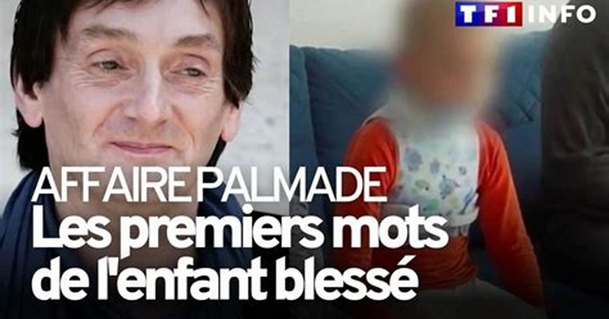 Qui Est Le Fils De Pierre Palmade