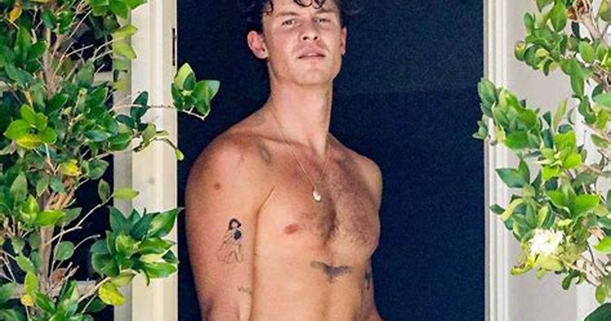 Shawn Mendes Got a Tattoo