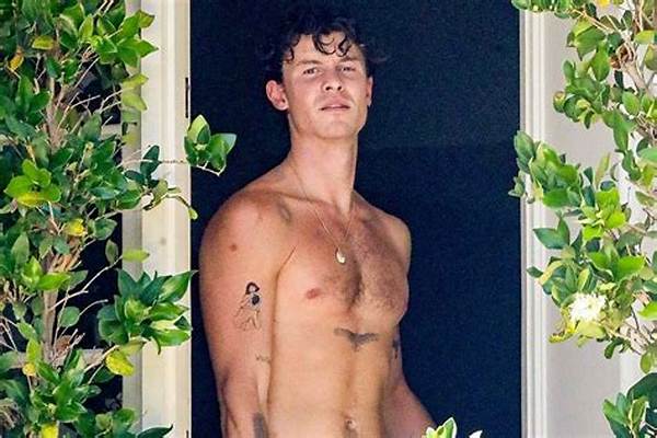 Shawn Mendes Got a Tattoo