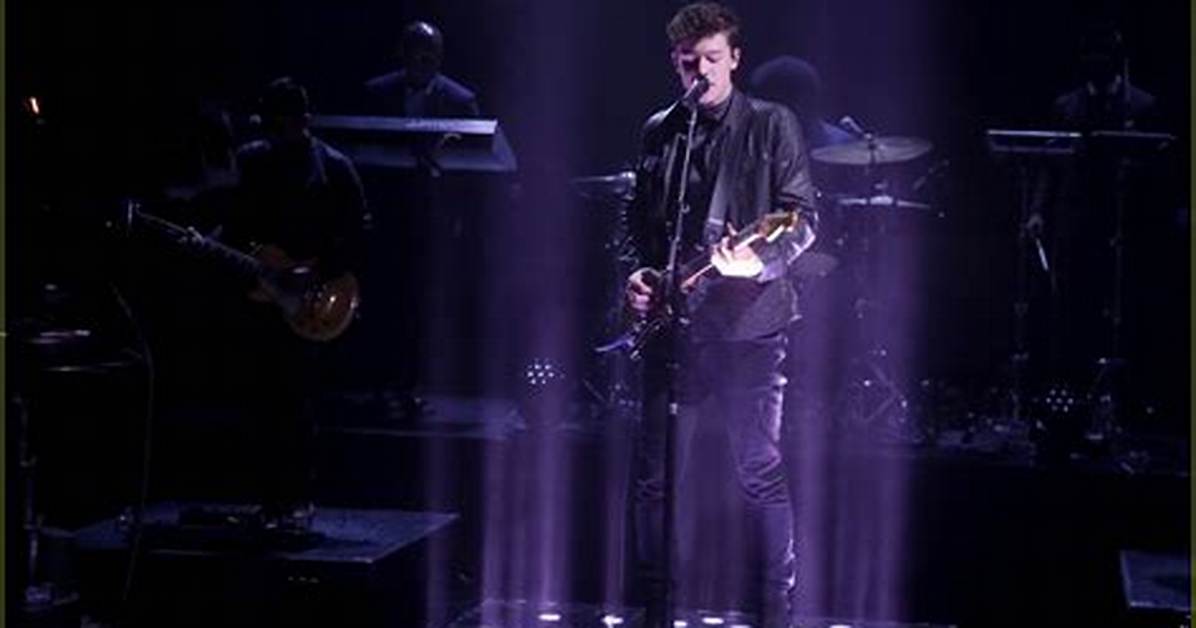 Shawn Mendes Performs 'Mercy' on the Ellen Show