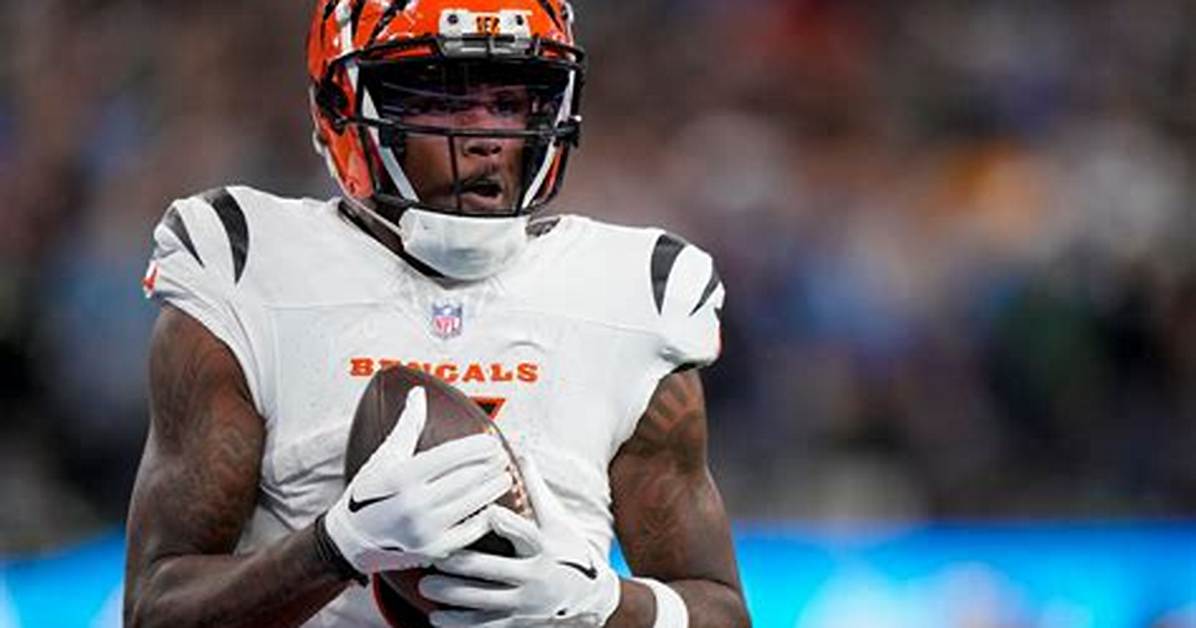 Tee Higgins Net Worth: How Much Is Tee Higgins Worth?
