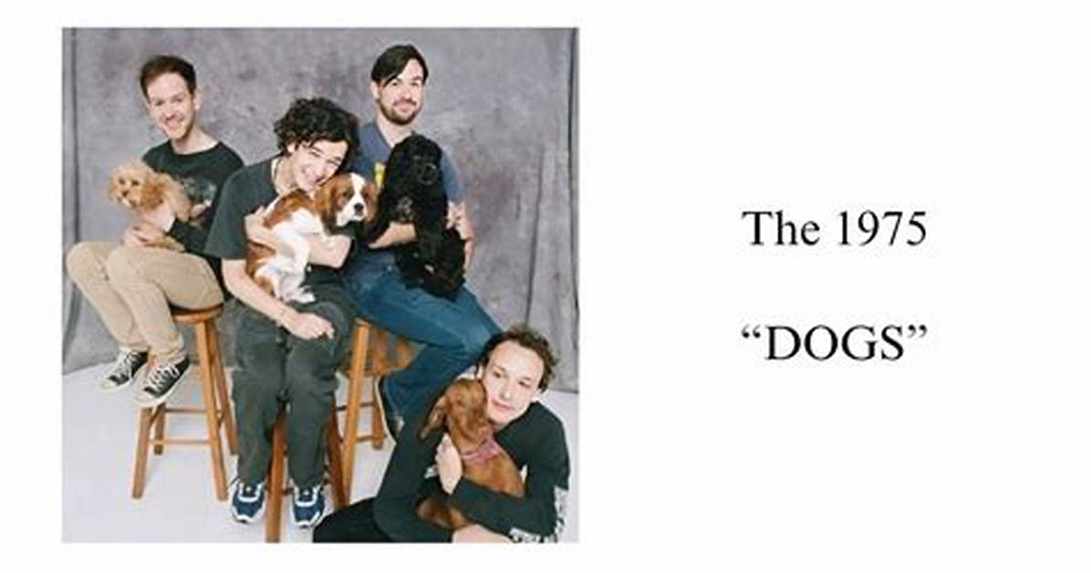 The 1975 Release Fan-Filled Music Video for 'Tootimetootimetootime'