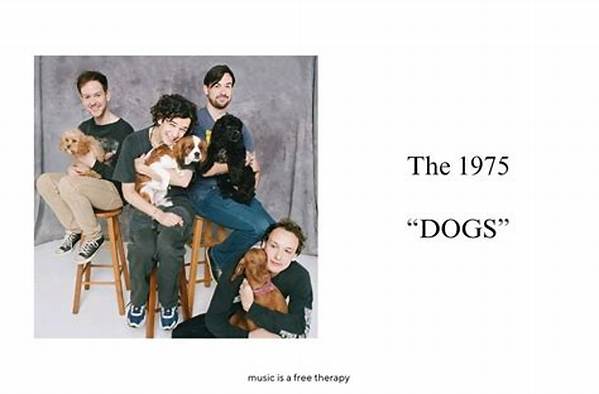 The 1975 Release Fan-Filled Music Video for 'Tootimetootimetootime'