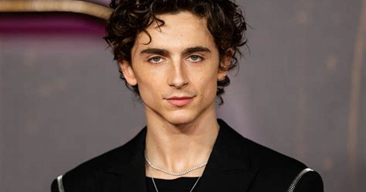 Timothee Chalamet- Bio, Age, Height, Net Worth, Relationship, Career