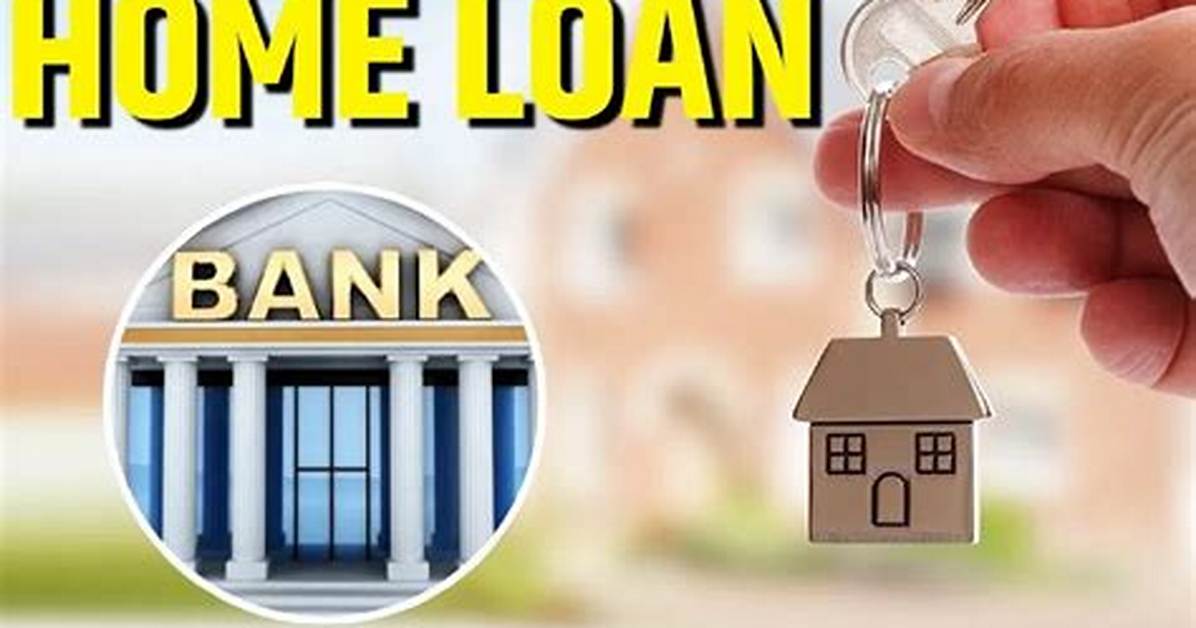 Took Loan In