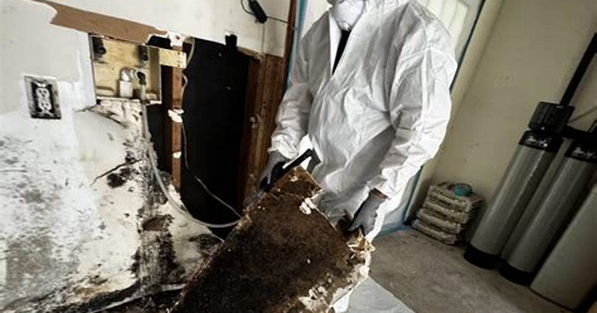 Who Is Mold Girl? Everything You Need to Know About Her