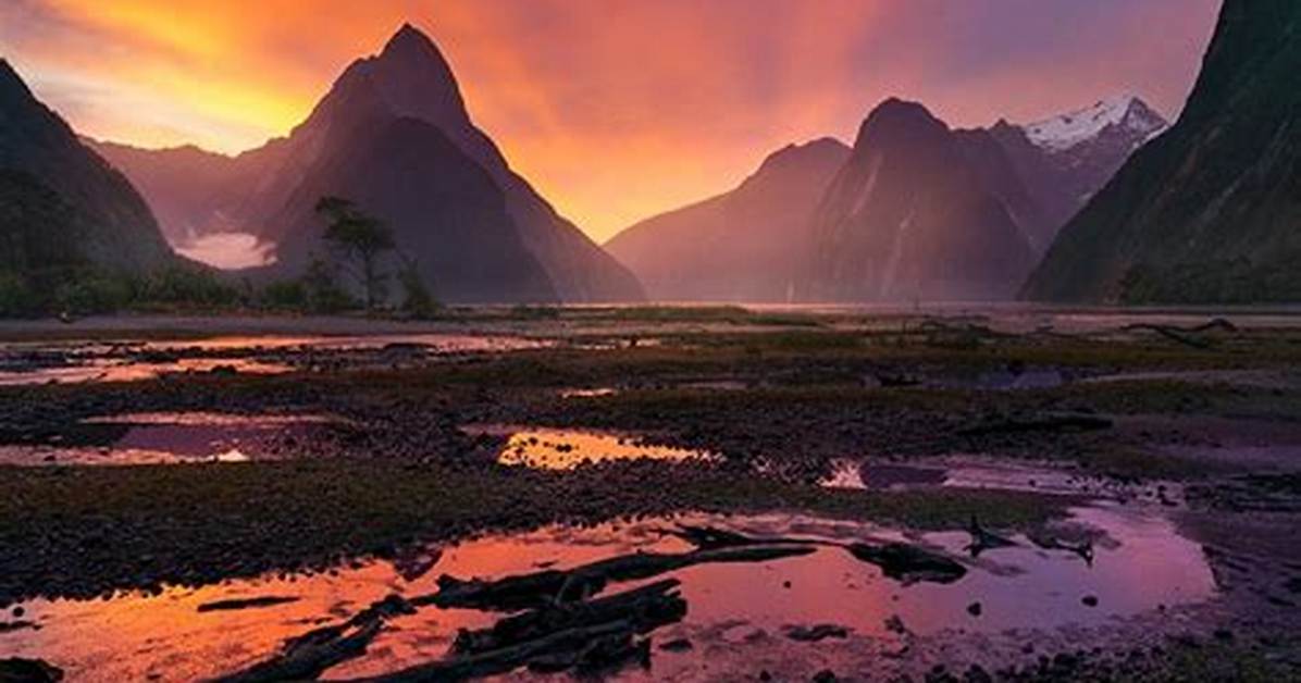 William Patino’s Girlfriend: Who Is William Patino Dating?