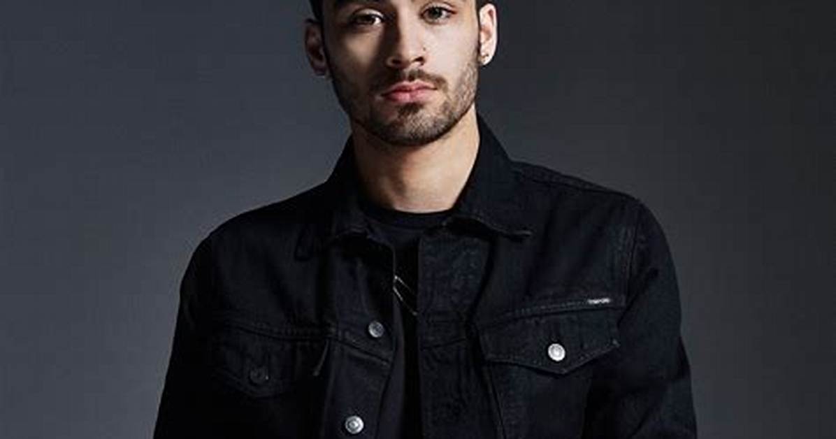 Zayn and Other Musicians Join the Gun Control Debate