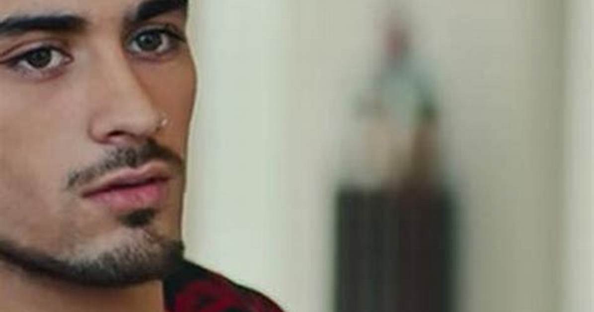 Zayn Malik Is Living the Single Life.